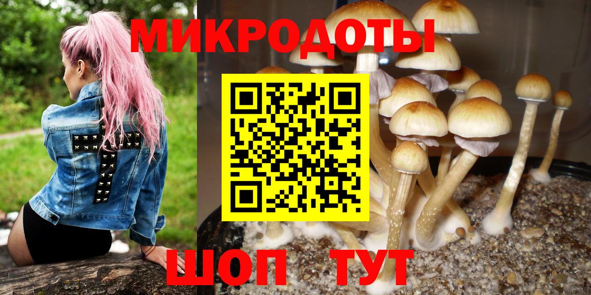 Псилоцибиновые грибы прущие грибы Верхний Уфалей