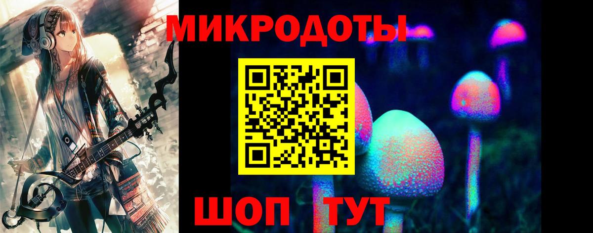 Верхний Уфалей  Псилоцибиновые грибы Psilocybe  Вход с VPN 